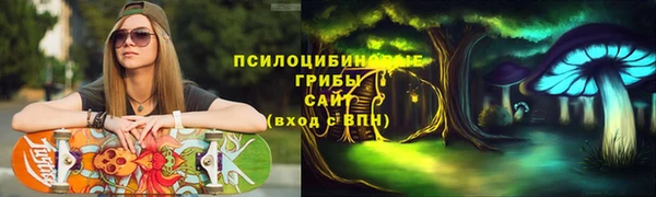 хмурый Алексин