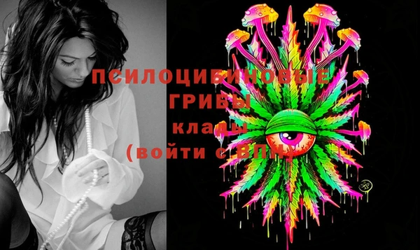 хмурый Алексин