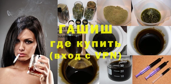 хмурый Алексин