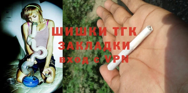 хмурый Алексин